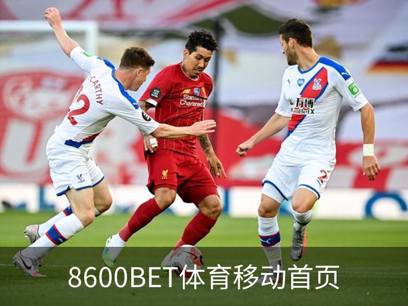 8600BET体育移动首页介绍